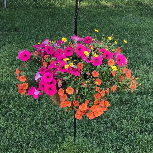 🍺 Handmade 6Pack Carrier 🍻 - Picture 16 of 17